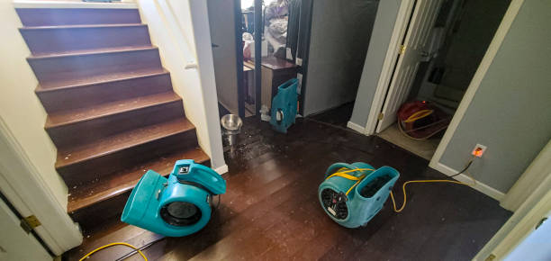 Professional Water damage restoration in Tecumseh, OK