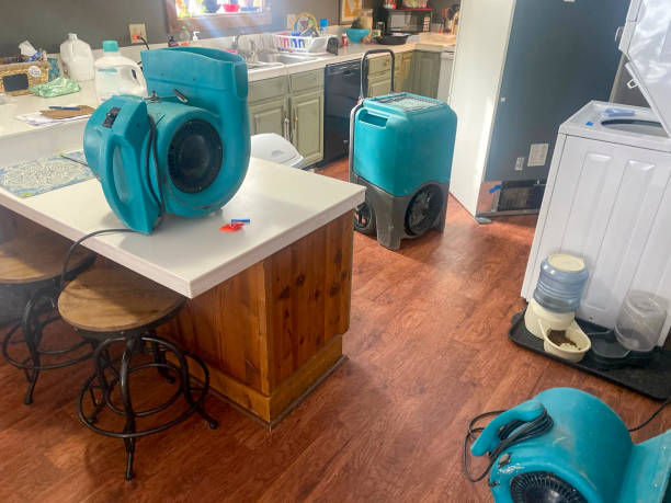 Best Professional water damage repair  in Tecumseh, OK
