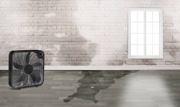 Best Sewage cleanup and water damage restoration  in Tecumseh, OK